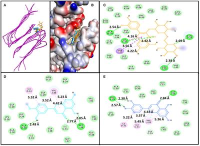 Effect of Date Palm (Phoenix dactylifera) Phytochemicals on Aβ1−40 Amyloid Formation: An in-silico Analysis